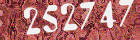 Sicherheits-Code